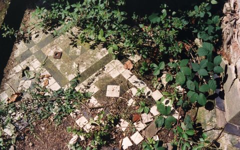 Damaged tiles and overgrown plants, before restoration
